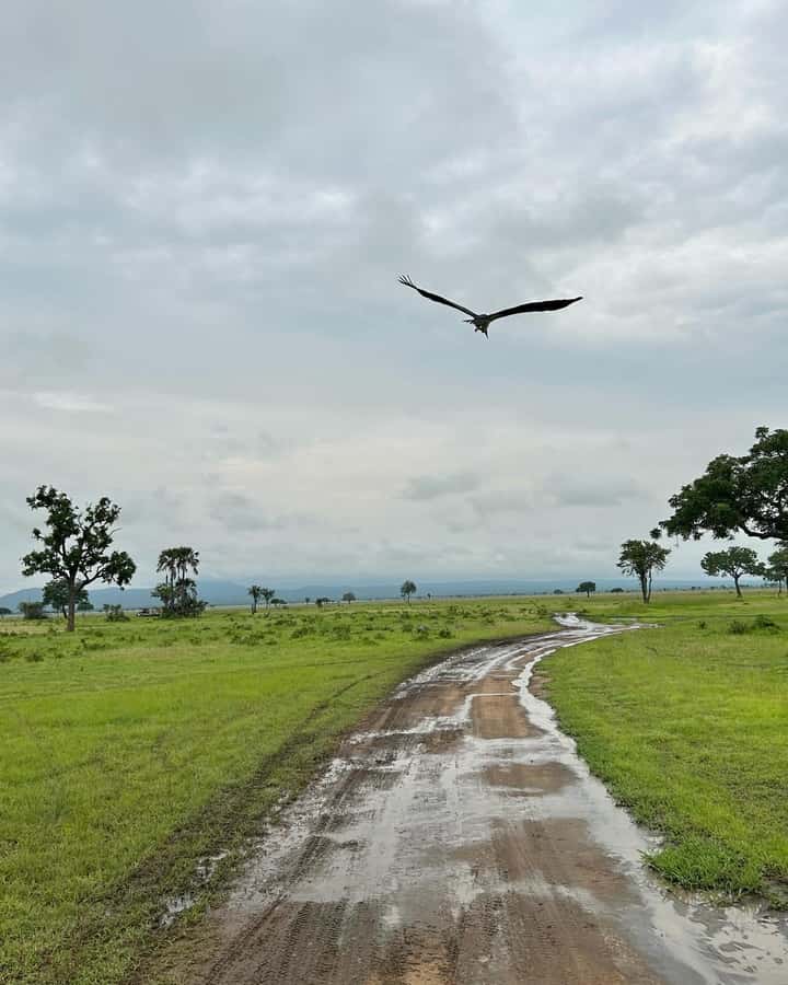 SAFARI WILDLIFE 3 DAYS 2 NIGHT FROM ZANZIBAR TO MIKUMI - The Maasai village visit