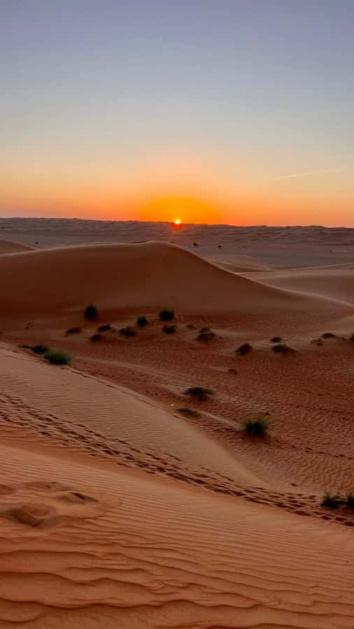 Safari World Zoo and Wahiba Sands with Sunset - Guide quality and the small-group advantage