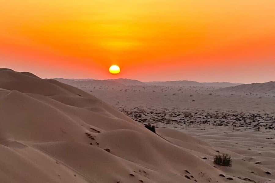 Salalah: Sunset desert safari tour in salalah(private tour) - Entering the Rub’ al Khali dunes