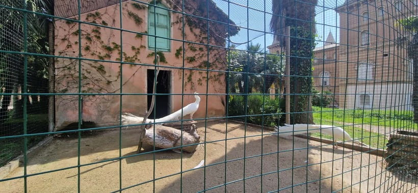 Salou safari: Park Samá with 1 vermouth tasting&hotel Pickup - Wildlife, birds, and the aviary