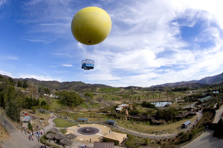 San Diego: San Diego Zoo Safari Park 1-Day Ticket - What the $76 ticket really gives you