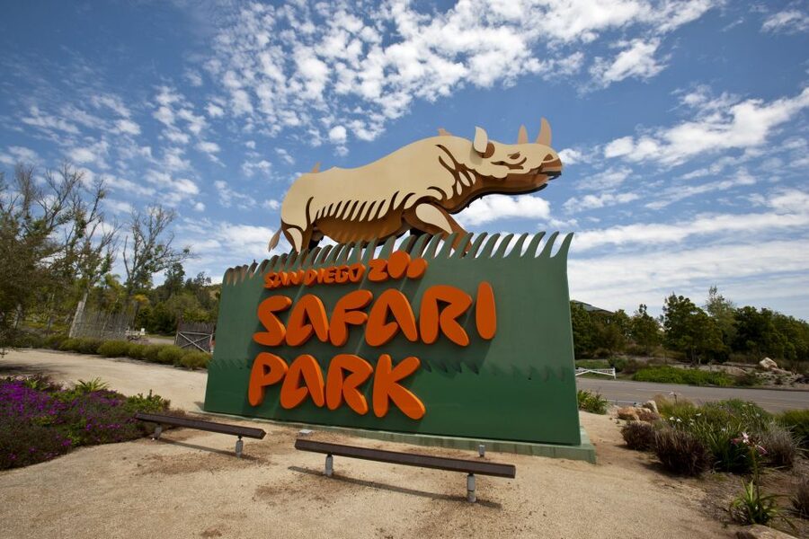 San Diego: San Diego Zoo Safari Park 1-Day Ticket - Start early before the paths fill up