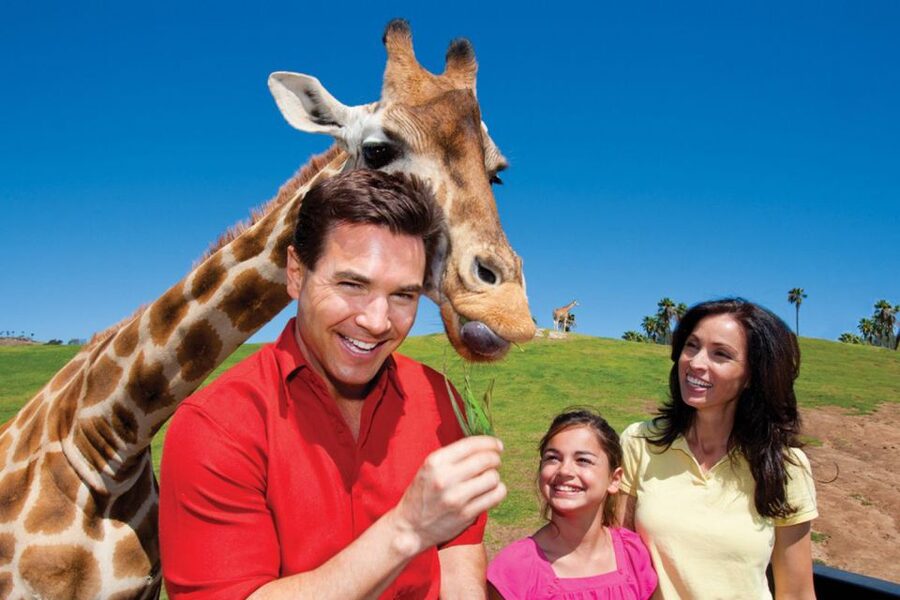 San Diego: San Diego Zoo Safari Park 1-Day Ticket - Heart of Africa and the big open habitats
