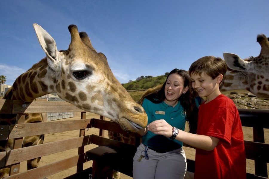 San Diego: San Diego Zoo Safari Park 1-Day Ticket - Lions, tigers, and cheetahs