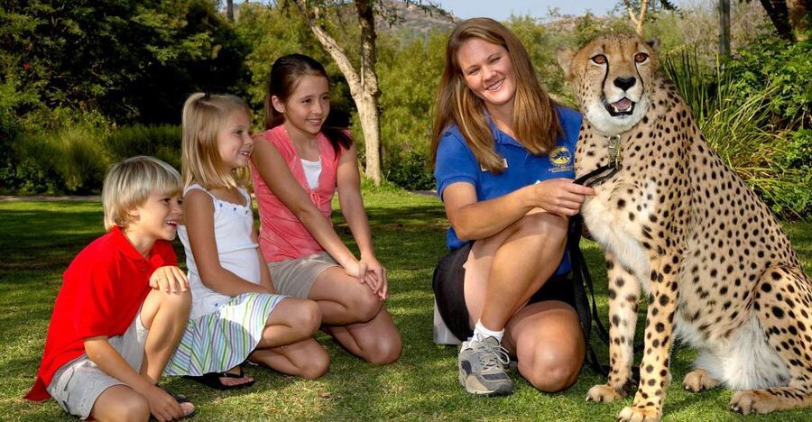 San Diego: San Diego Zoo Safari Park 1-Day Ticket - Birds, butterflies, and tropical plants