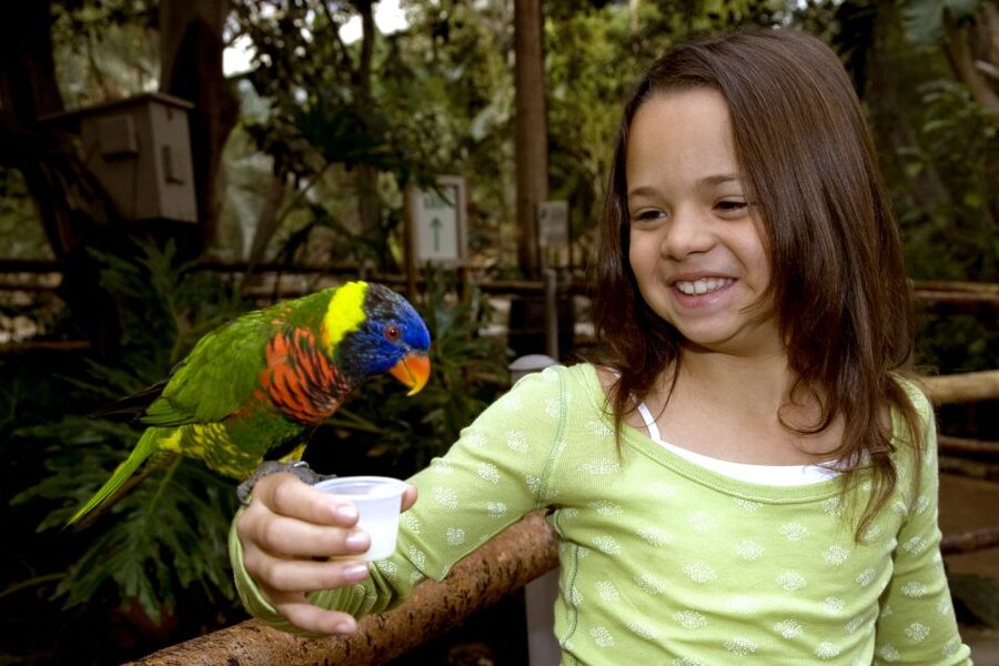 San Diego: San Diego Zoo Safari Park 1-Day Ticket - Kid-friendly stops that break up the walking
