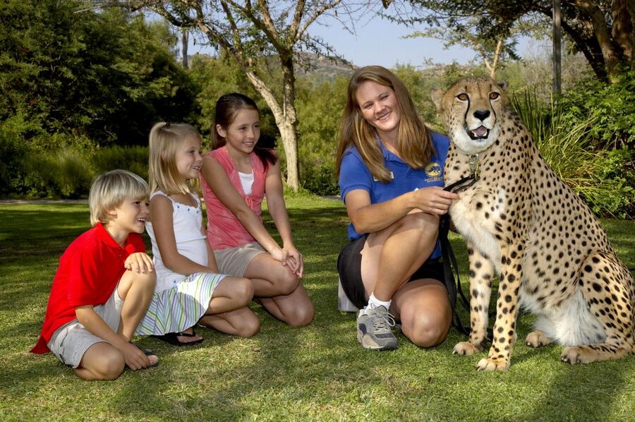 San Diego: San Diego Zoo Safari Park 1-Day Ticket - Africa Tram makes the park manageable