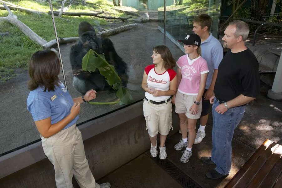 San Diego Zoo and Safari Park: 2-Day Entry Ticket - Two parks, two very different days