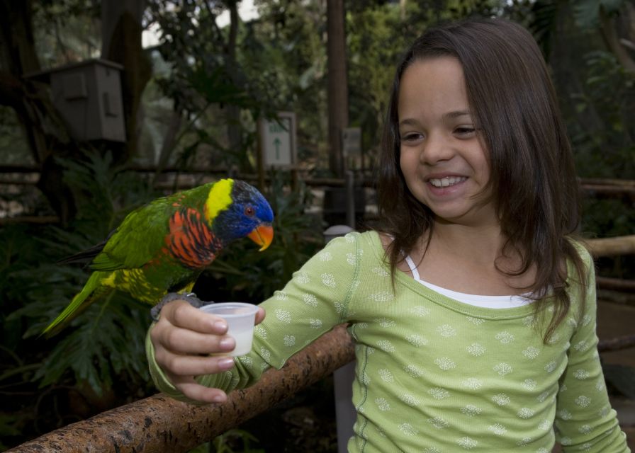 San Diego Zoo and Safari Park 2-Day Entry Ticket - The San Diego Zoo: close views among gardens and themed habitats