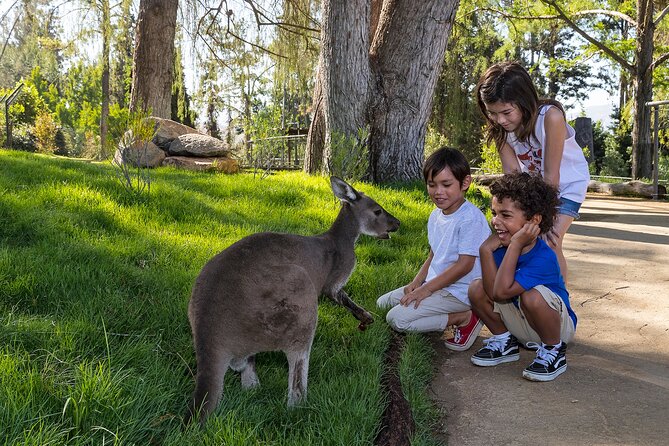 San Diego Zoo Safari Park 1-Day Pass: Any Day Ticket - The staff can improve the visit
