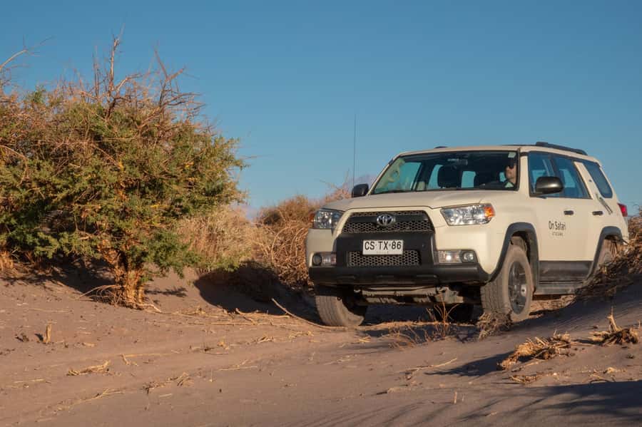 San Pedro de Atacama: Wildlife Safari and Photography Tour - Booking details worth knowing