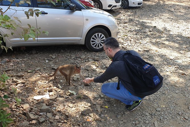 Sanjay Gandhi National Park(SGNP) + Kenheri Caves + Lion Safari + Jain Temple - Timing, weather, and cancellation details