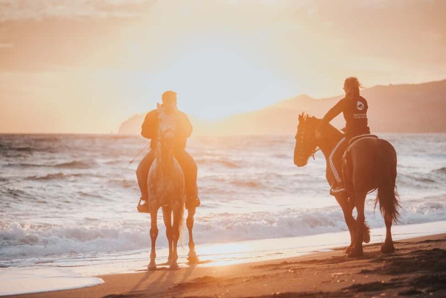 Santorini: Extreme Horse Safari with Beach Gallop - From Megalochori vineyards to Eros Beach
