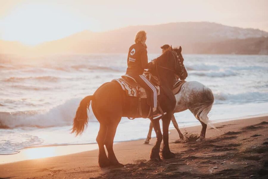 Santorini: Extreme Horse Safari with Beach Gallop - Ravines, volcanic hills, and a rougher ride