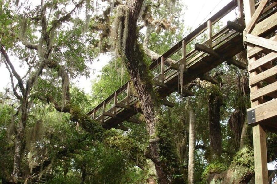 Sarasota: Myakka State Park E-bike Safari Experience - Booking details worth knowing