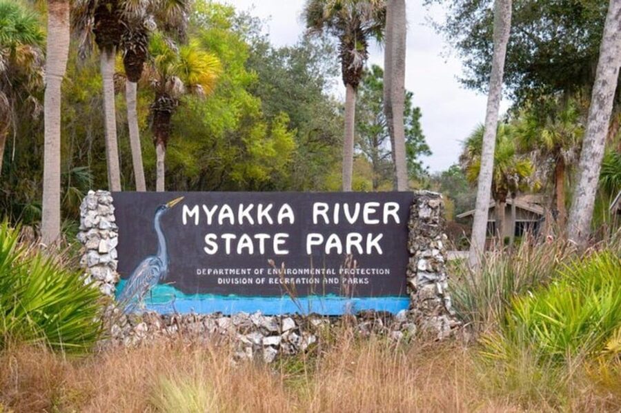 Sarasota: Myakka State Park E-bike Safari Experience - Is $85 a fair price?