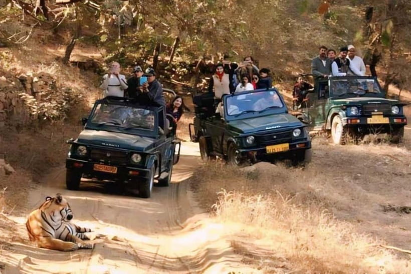 Sawai Madhopur: Ranthambore National Park Guided Jeep Safari - Entering Ranthambore by open safari vehicle
