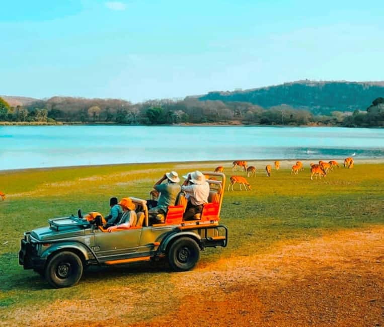Sawai Madhopur: Ranthambore National Park Guided Jeep Safari - Park zones can change the experience