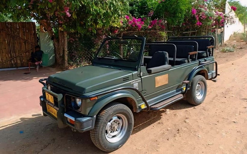Sawai Madhopur: Ranthambore National Park Guided Jeep Safari - How the guide shapes the outing