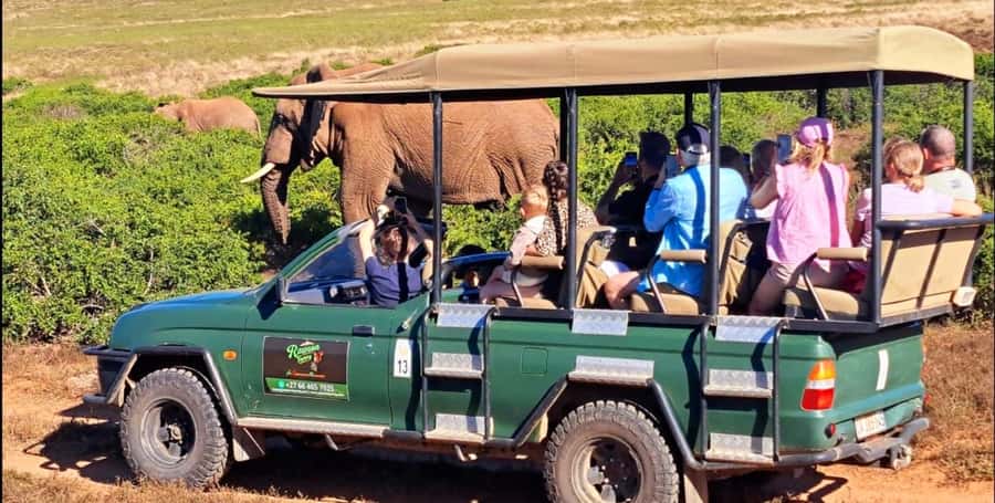 Schotia Safaris: Best Wildlife Encounters in Port Elizabeth - Leaving Port Elizabeth for the Eastern Cape bush