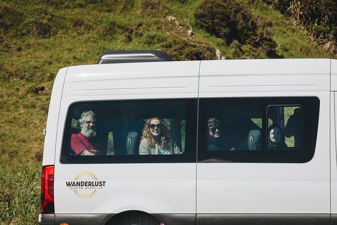 Seal Coast Safari - Exclusive access to Wellington's secret coast - Why this coast feels different from central Wellington