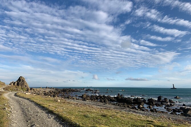 Seal Coast Safari - Exclusive access to Wellington's secret coast - Who will enjoy this half-day safari