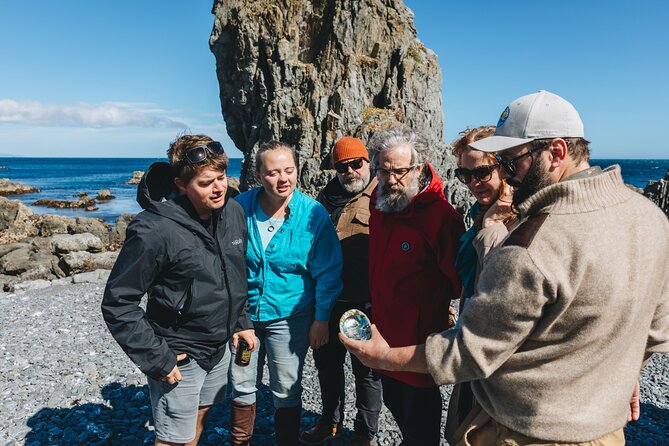 Seal Coast Safari - Exclusive access to Wellington's secret coast - Terawhiti Station is the real adventure