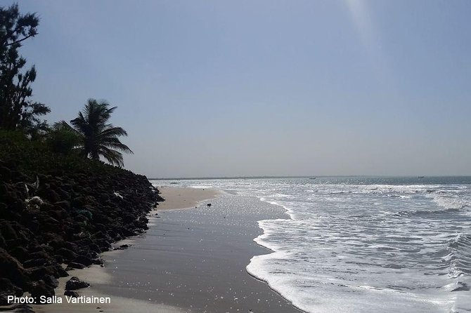 See It All – Safari Tour - Why this route gives you a useful first look at Gambia