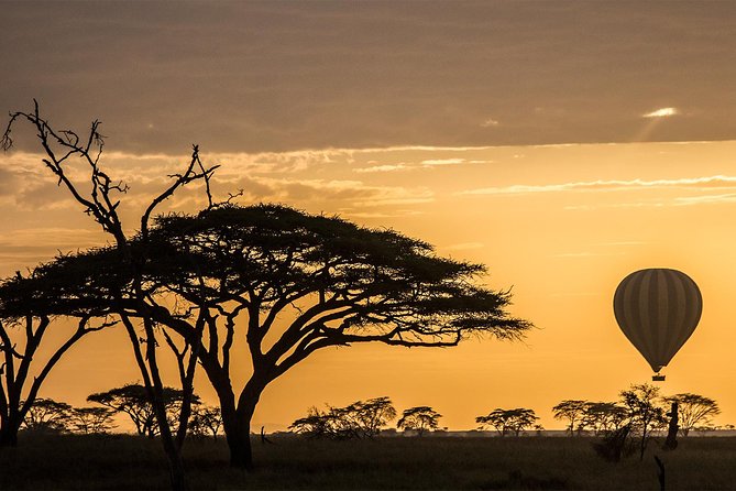 Serengeti Balloon Safari and authentic bush breakfast - What the $550 price buys you