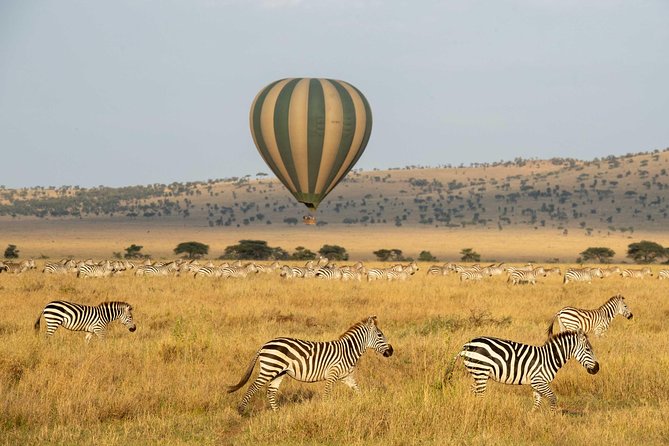 Serengeti Balloon Safari and authentic bush breakfast - Choosing the right seasonal base