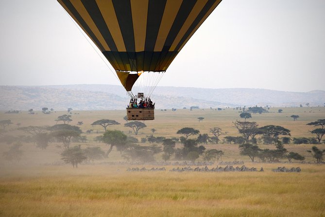 Serengeti Balloon Safari and authentic bush breakfast - The champagne toast and acacia-tree breakfast