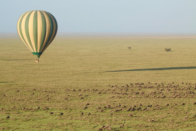 Serengeti Balloon Safari and authentic bush breakfast - Booking timing and cancellation terms