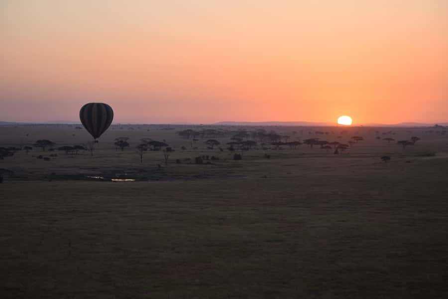 Serengeti National Park: Balloon Safari at Dawn - A landing in the middle of nowhere