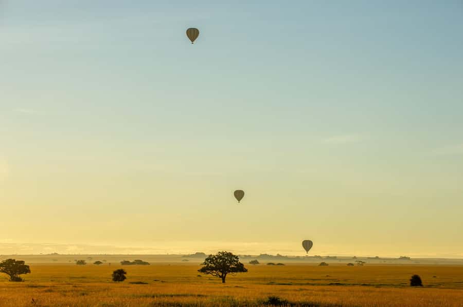 Serengeti National Park: Balloon Safari at Dawn - Breakfast beneath an acacia tree