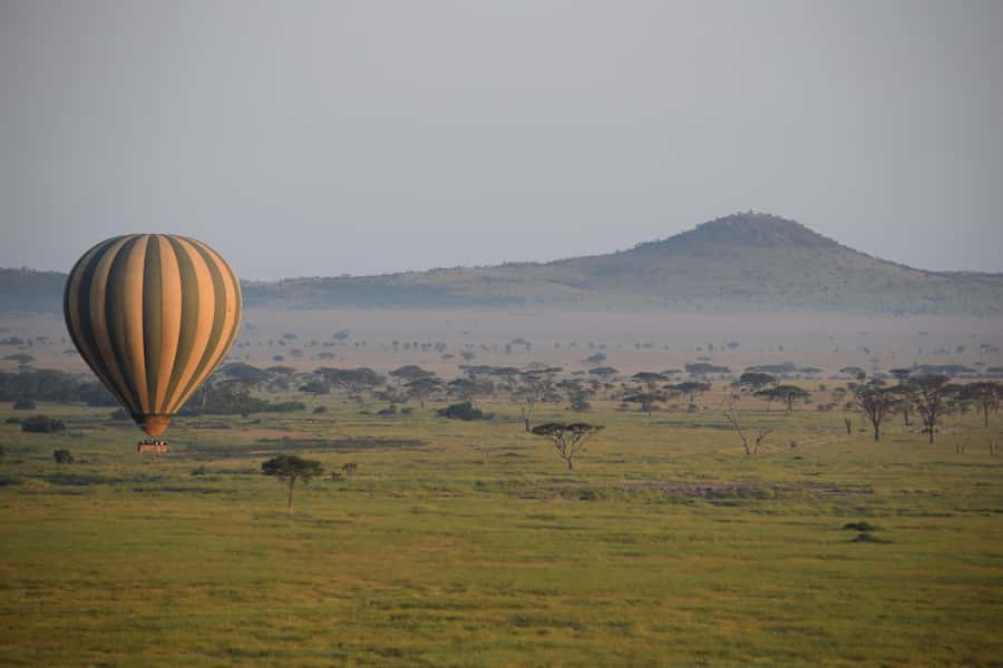 Serengeti National Park: Balloon Safari at Dawn - Should you book the Serengeti balloon safari?