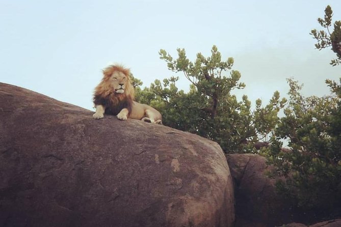 Serengeti & Ngorongoro fly in safari - How private travel affects the experience