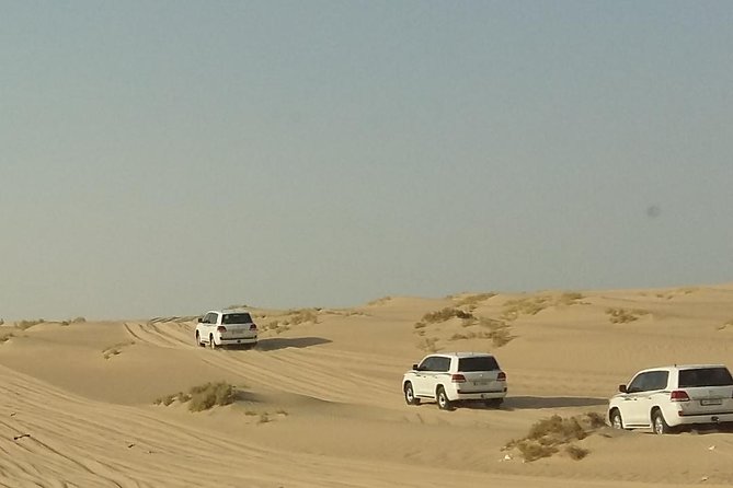 Sharing or Private Safari, Sand Boarding, Camel Ride, inland Sea Quick swim - Why the Inland Sea makes this Doha safari different