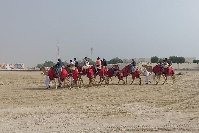 Sharing or Private Safari, Sand Boarding, Camel Ride, inland Sea Quick swim - Sandboarding from the higher dunes