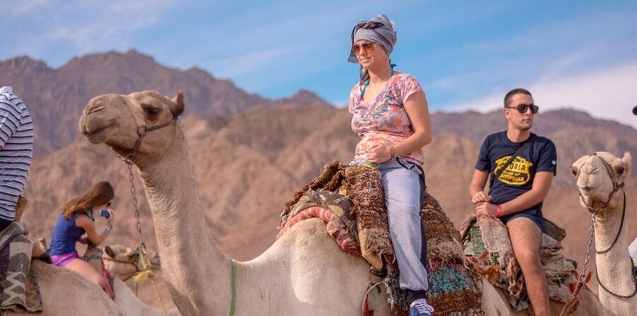Sharm El Sheikh: Quad bike, Safari, Camel With Dinner & Show - Who will enjoy this most