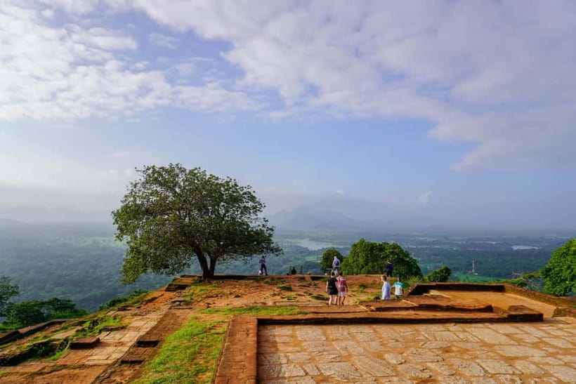 Sigiriya Lion Rock Hike & Minneriya National Park Safari - Choosing between four safari parks