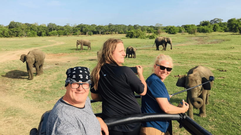 Sigiriya Rock Hike & Minneriya Elephant Safari – Day Tour - Lunch Is Optional, So Clarify It Early