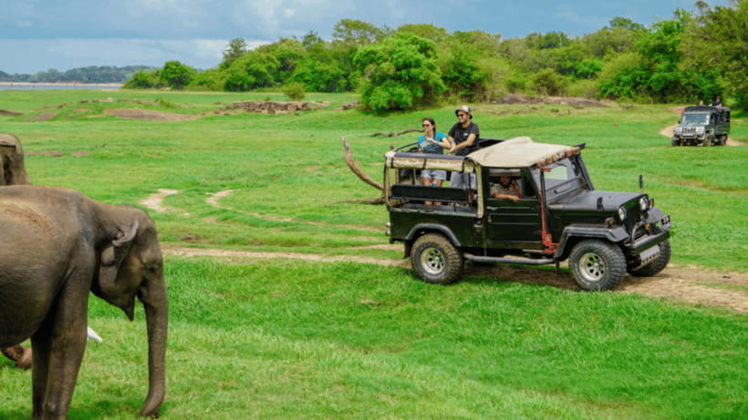 Sigiriya Rock Hike & Minneriya Elephant Safari – Day Tour - The Short Kaudulla Stop and the Return Drive