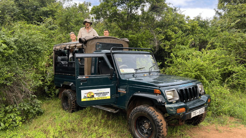 Sigiriya Rock Hike & Minneriya Elephant Safari – Day Tour - Who Should Book This Day Tour