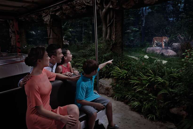 Singapore: Night Safari Entry Ticket with Tram Ride - Why Singapore’s Night Safari feels different
