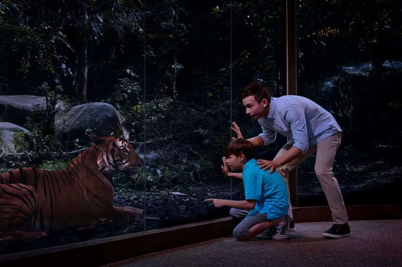 Singapore: Night Safari Singapore Entry Ticket + Tram Ride - Who will enjoy this most