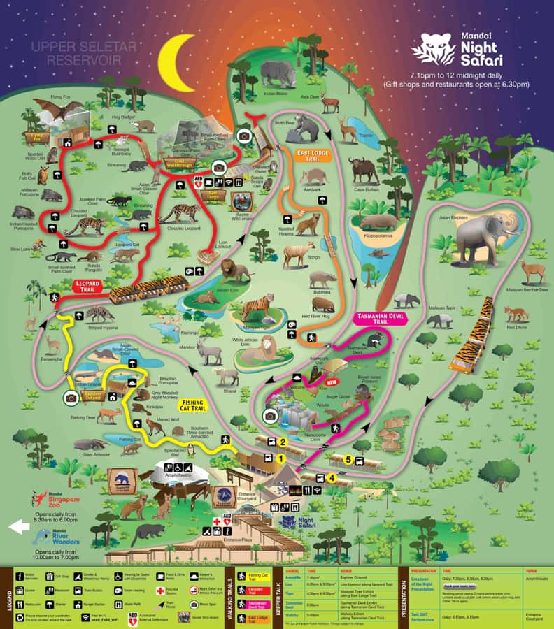 Singapore: Night Safari with Tram Ride and Private Transfer - The Creatures of the Night presentation