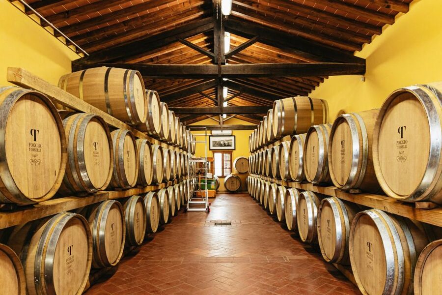 SMALL GROUP Tuscany Wine Tasting Safaris with Lunch / Dinner - Who will enjoy this Chianti experience most