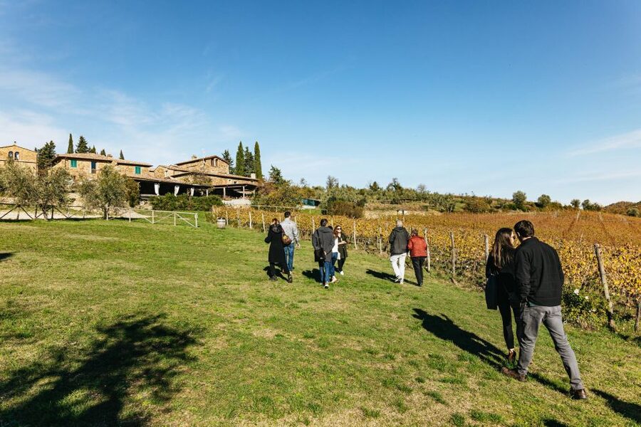 SMALL GROUP Tuscany Wine Tasting Safaris with Lunch / Dinner - What the $153 price really covers