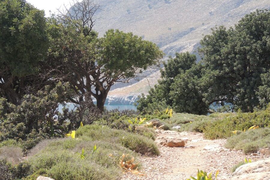 South Crete: Sarakinas Gorge Hike, Swim & Jeep Safari - A full day from the coast to the Cretan high country