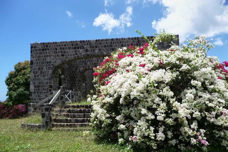 St. Kitts: Top Sights Guided Van or Open-Air Safari Tour - Meeting at MauPau Casino near the cruise port